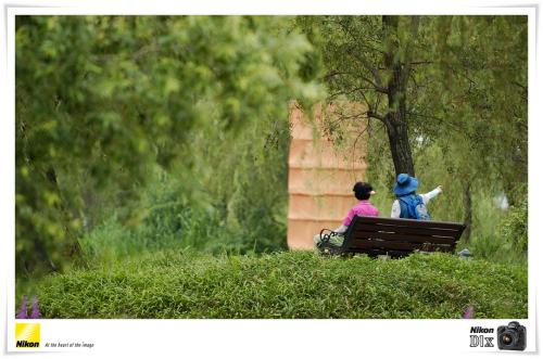 [D1X] 정담(情談)