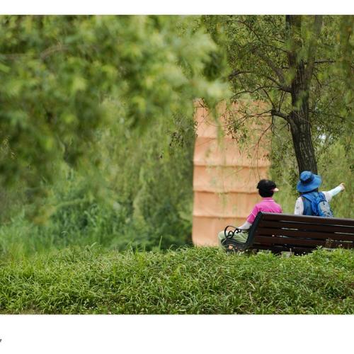 [D1X] 정담(情談)