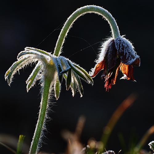 오늘 아침엔140-2탄