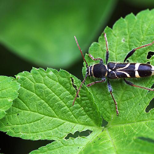 오늘 아침엔189-3탄(뭔지모름)