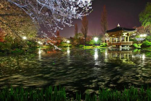 돌고 도는 보문정