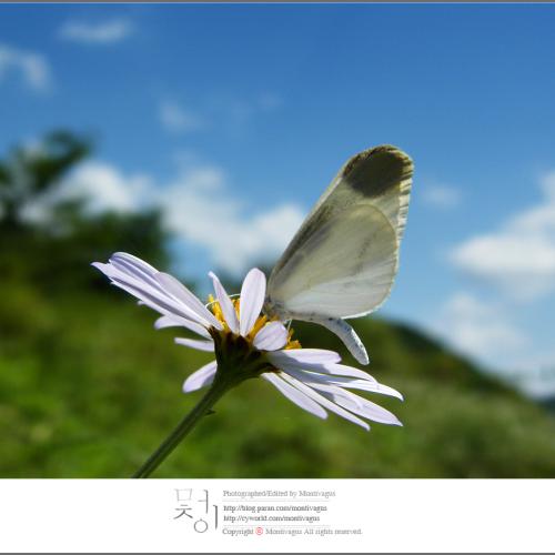 지난 여름을 회상하며..