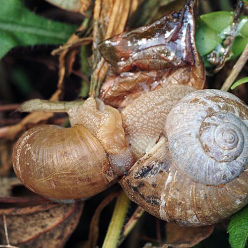 오늘 아침엔190(달팽이의 어부바)