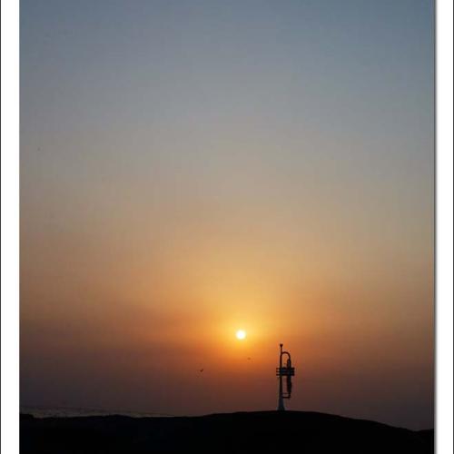 이제야 부르는 노래