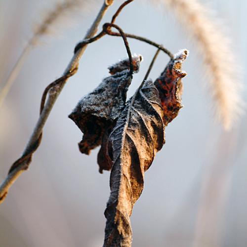 오늘 아침엔141탄