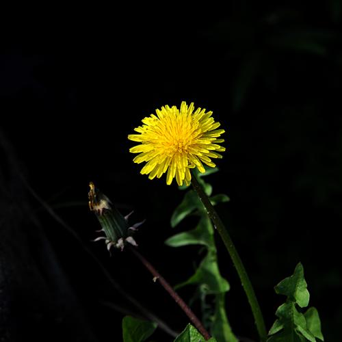 테스트 입니다.