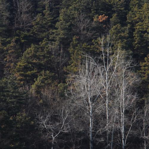 정모(2차-미소버전)