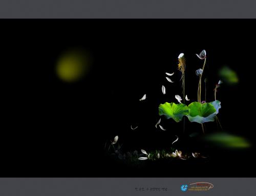 시간의 저편에서...