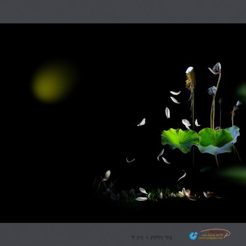 시간의 저편에서...