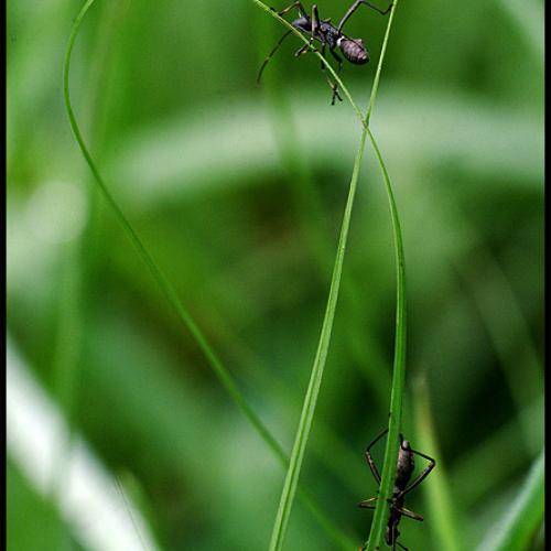 오늘 아침엔 68탄(연작)