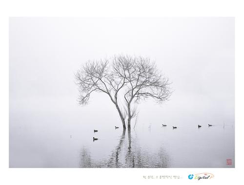 휴목원의 오리들...