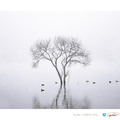 휴목원의 오리들...