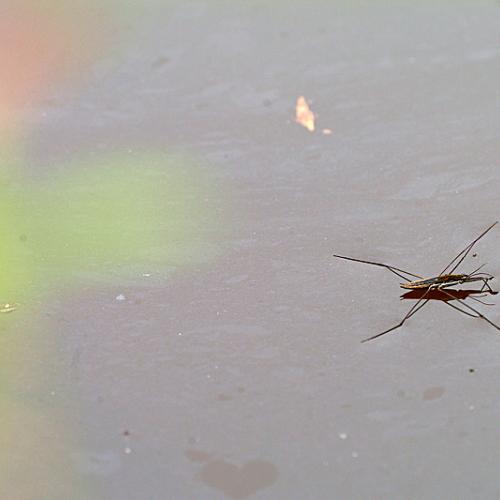 오늘 아침엔191-3