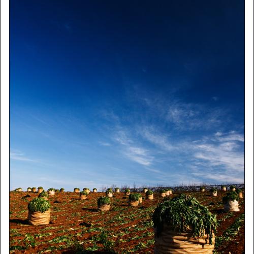 해남 가는 길에...