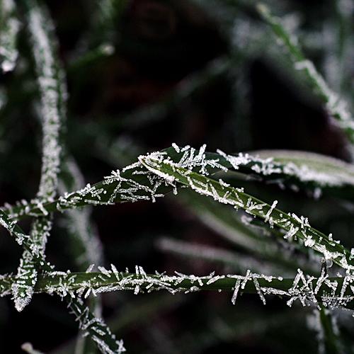 오늘 아침엔142-1탄