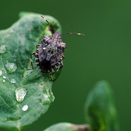 오늘 아침엔192탄