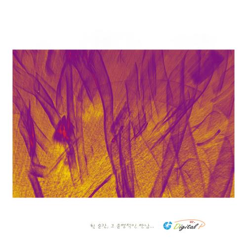 蓮心 그리고 犧牲