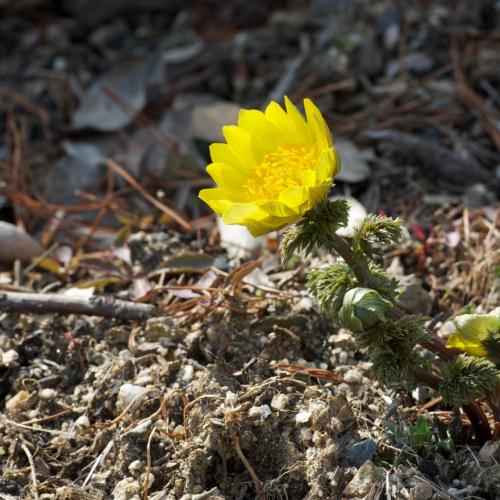 정희범입니다. 안녕하셨어요?