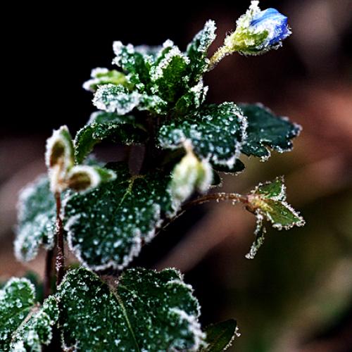 오늘 아침엔142-3탄