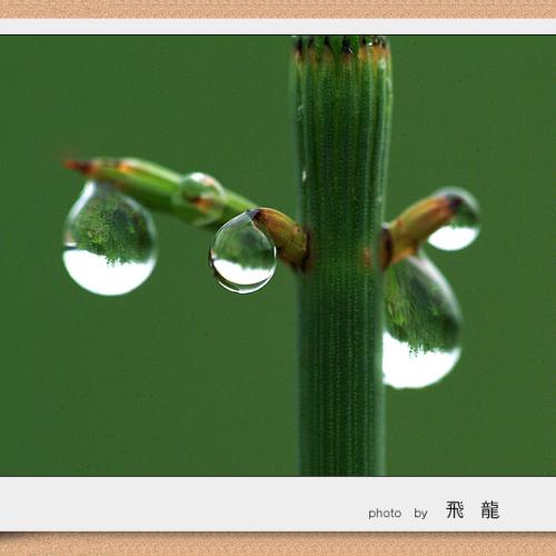 오늘 아침엔70탄