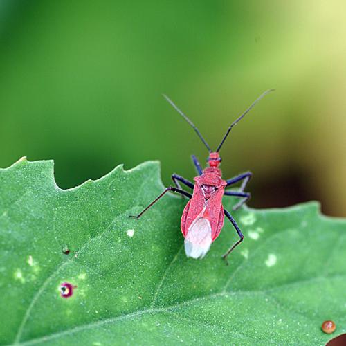 오늘 아침엔192-2탄