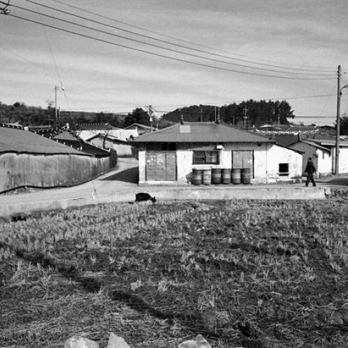 마을#14 노화 신양리