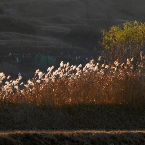 저 세상 보단  이 세상 ~~~~~