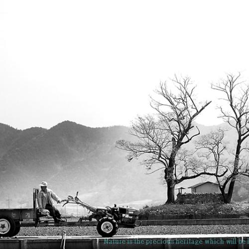 이런 저런 느낌들...