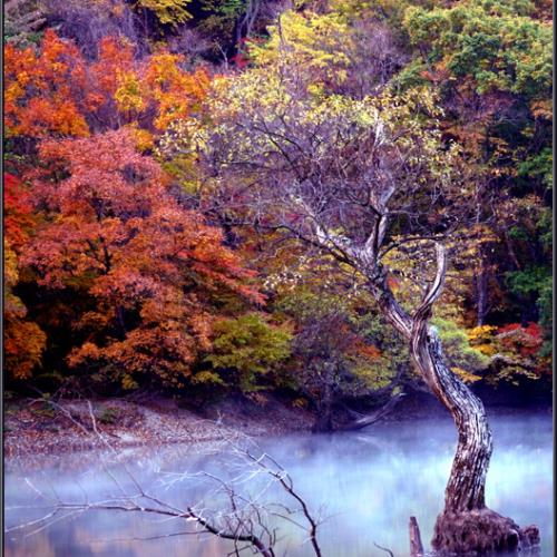 여독이 풀리니...