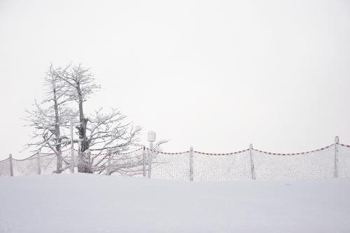 추웠던날의 기억