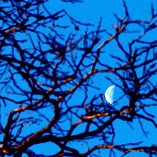 오늘 아침에142탄