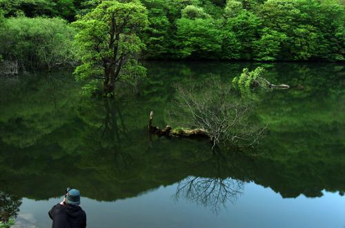 신록을 담는 사람들