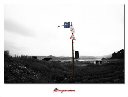 6월 첫번째 수요일...