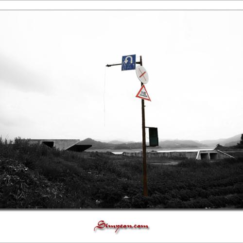 6월 첫번째 수요일...