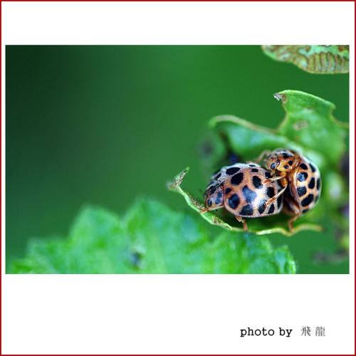 오늘 아침엔193-2탄