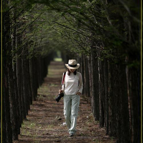 라일락님의 모델 등극