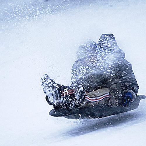 뵈는게 없거든요...