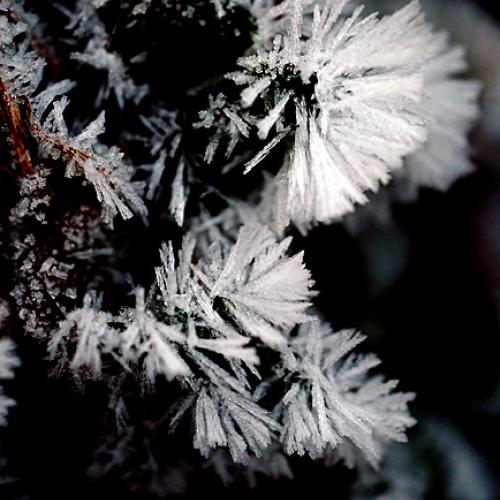 오늘 아침엔143탄