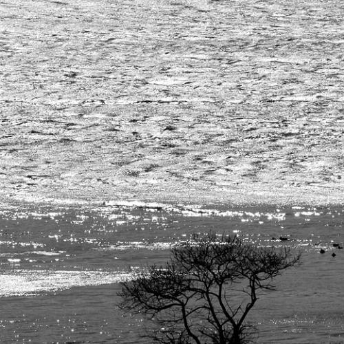바람 속의 고요