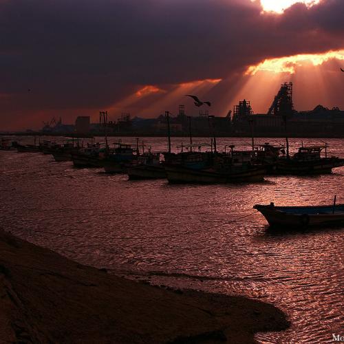 그들에게 빛을 주다