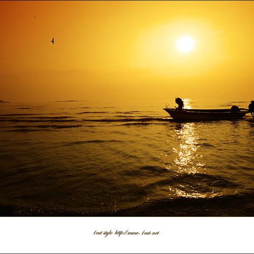 금빛 머무는 시간....