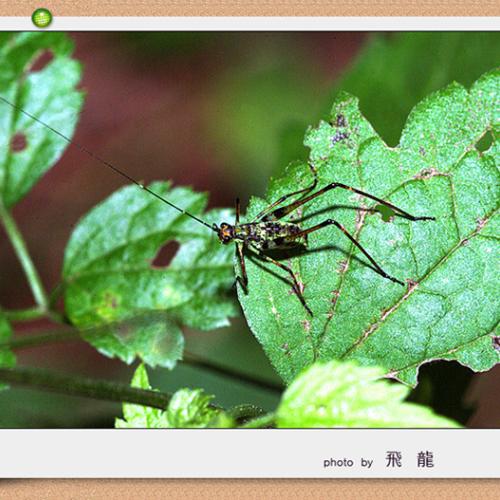 오늘 아침엔72탄(연작)