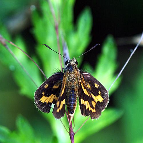 오늘 아침엔193-3탄