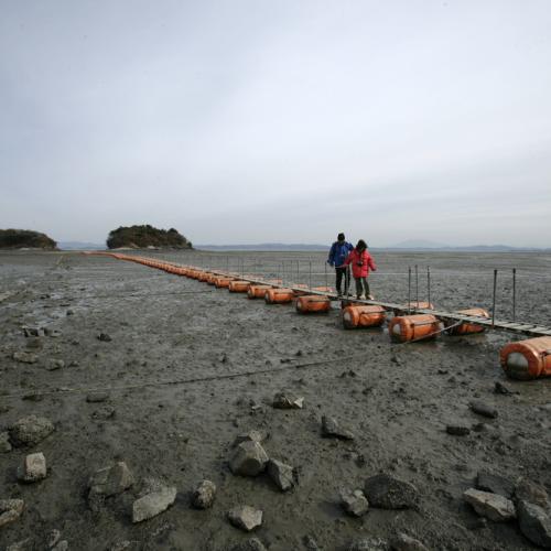 험한 세상에 다리가 되어...