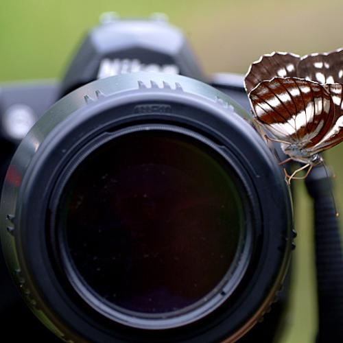 오늘 아침엔191-2탄(카메라와나비)