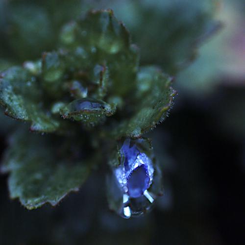 오늘아침엔145탄