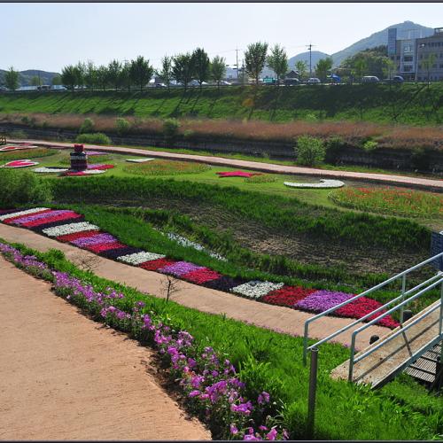 공주 정안천 산책(1)