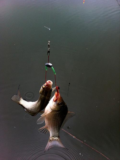 어제 번개 후 당구 결과