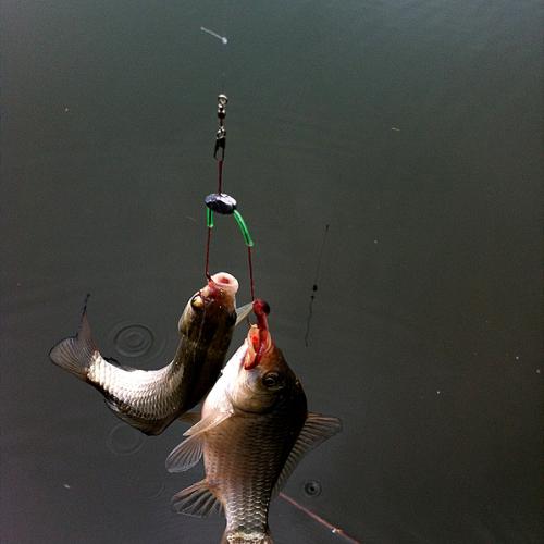어제 번개 후 당구 결과