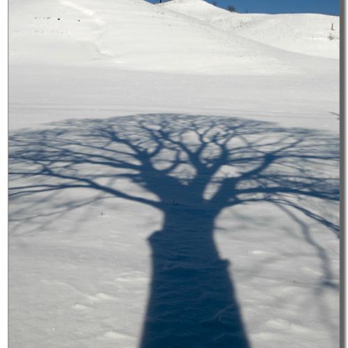 가까이 할 수 없는 너